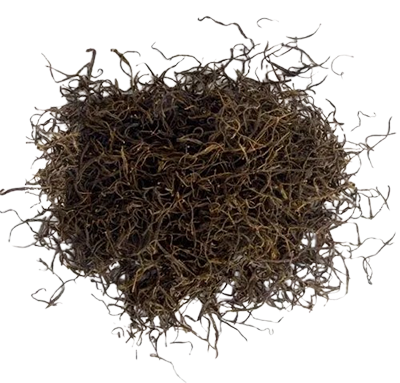 ताजी सांगरी- हरी सांगरी- कच्ची सांगरी